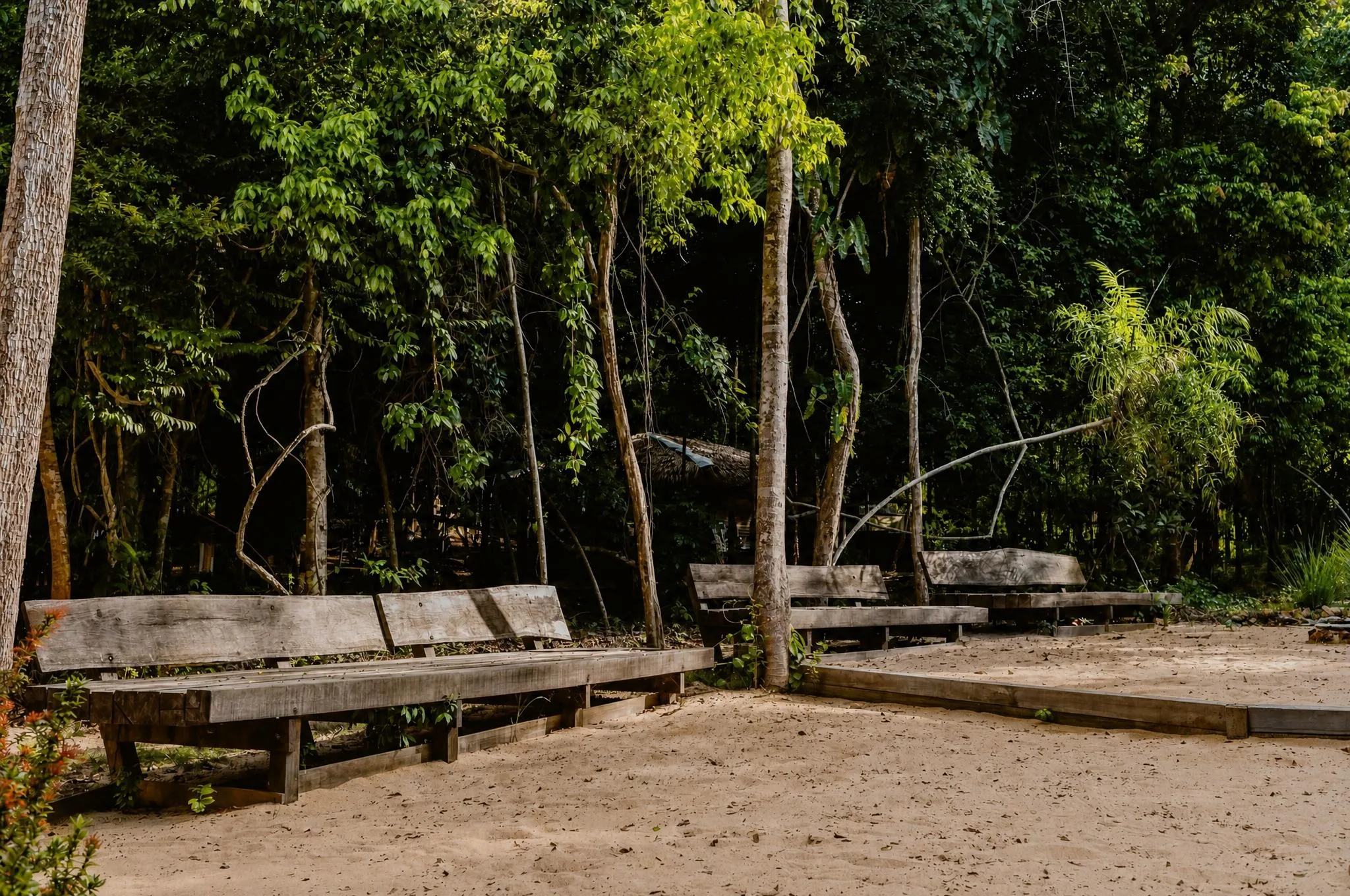 Bancos de tronco maciço formando uma roda na areia da clareira, cercados pela mata