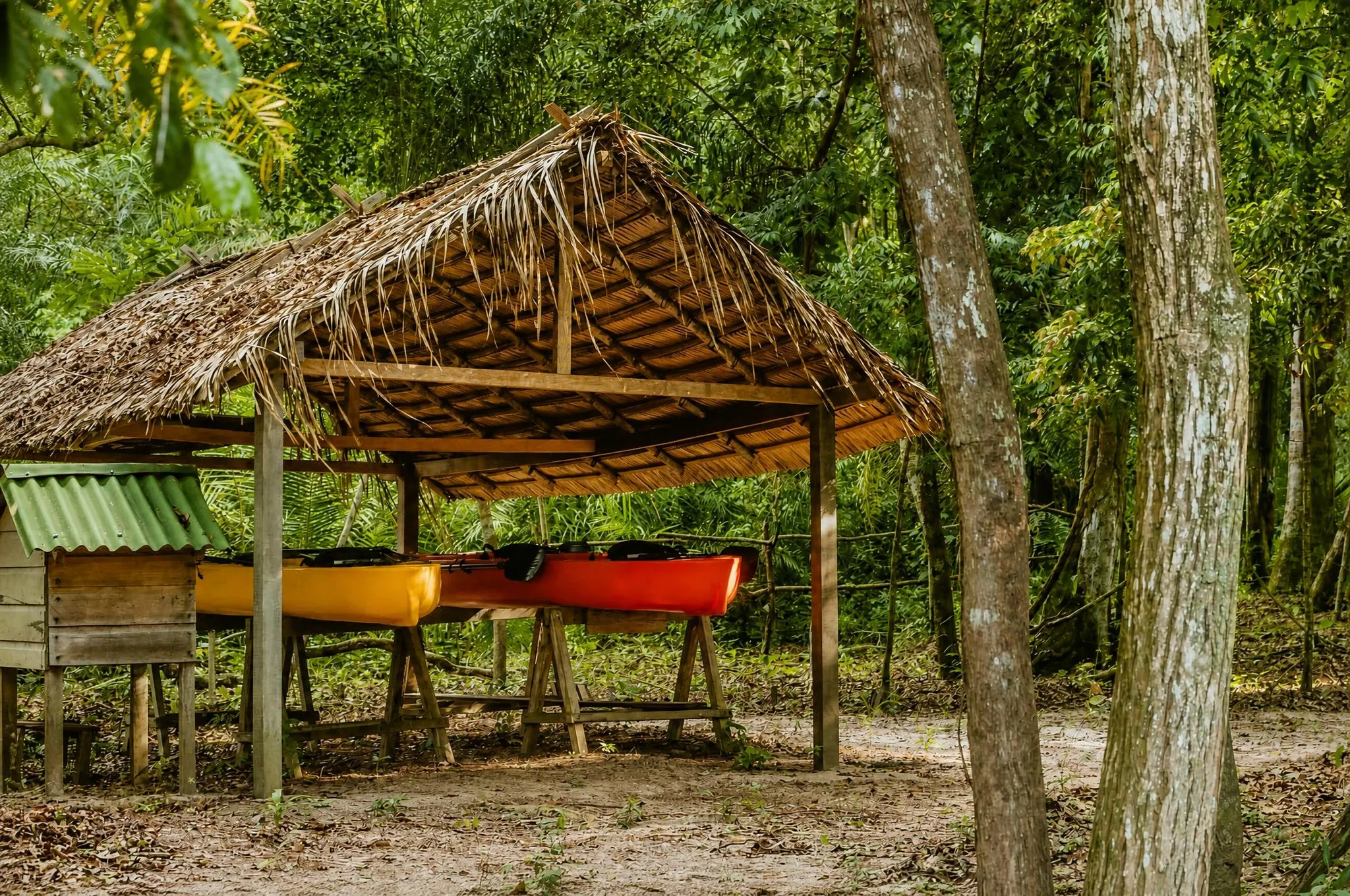 Yellow and orange kayaks stored on racks under a thatch-roofed shelter, in the shade of the forest
