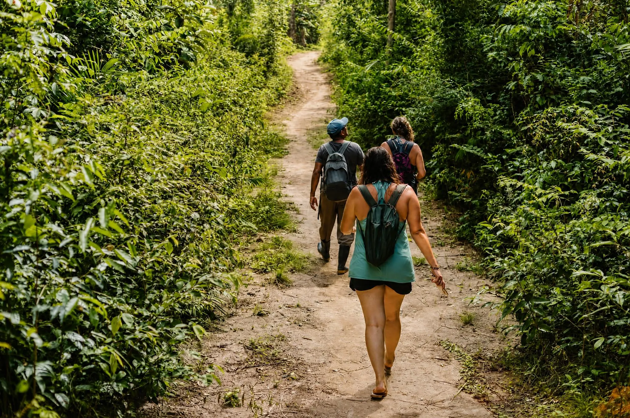Tres personas caminando de espaldas a la cámara por un camino arenoso en la selva, con vegetación verde densa a ambos lados