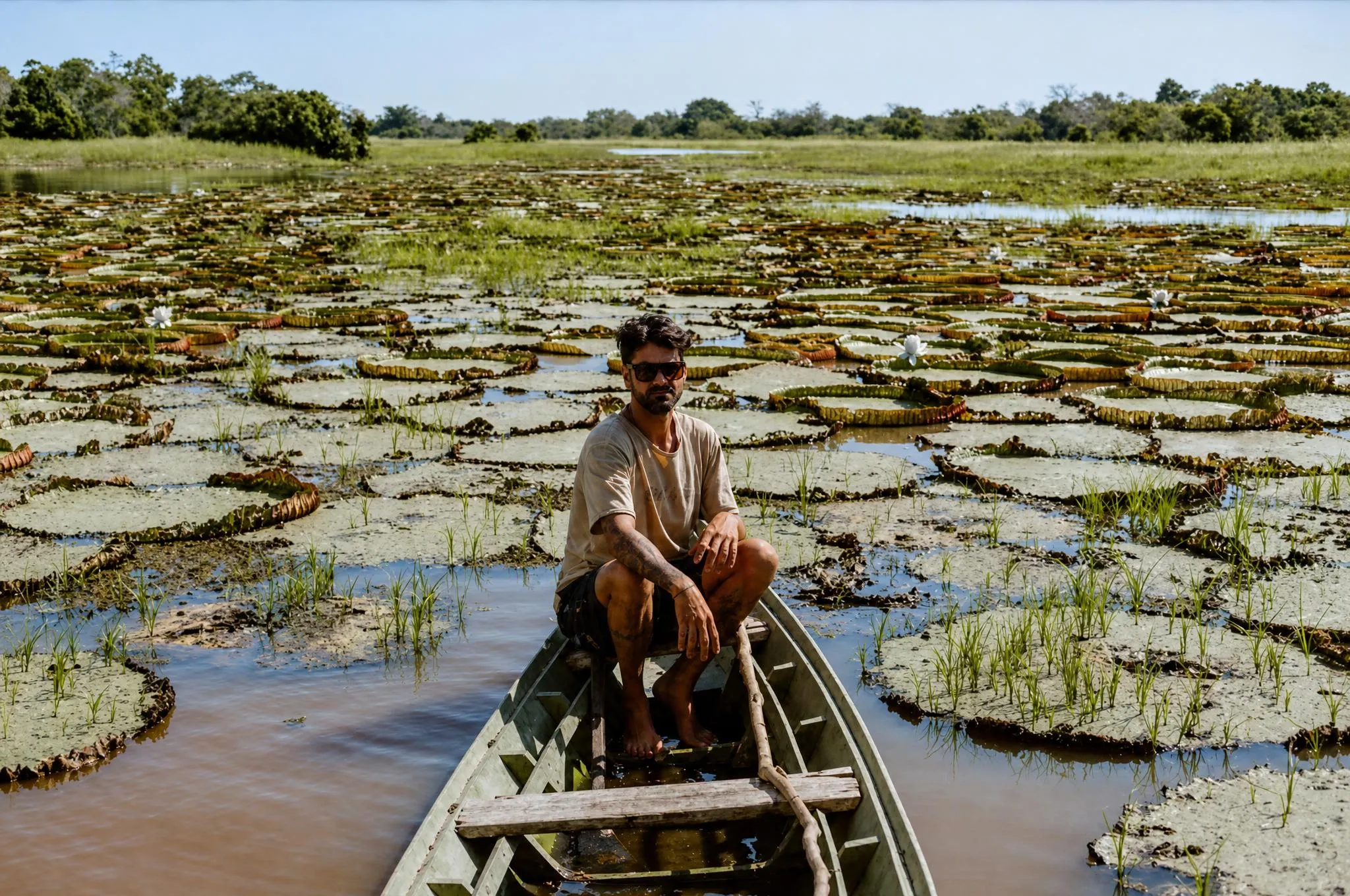 A wooden canoe stopped in a field of giant water lilies, with a man sitting at the bow, paddle in hand