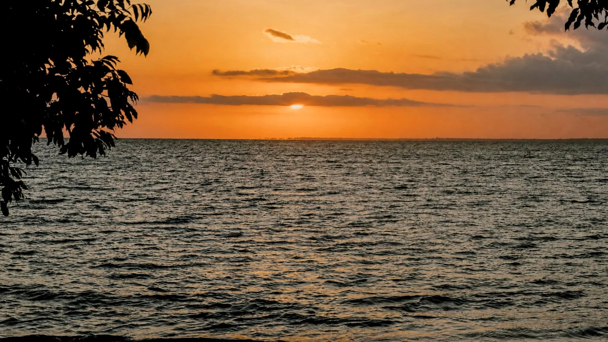 Pôr do sol sobre o rio visto de sob a folhagem, com o céu laranja e a água escura em ondas curtas