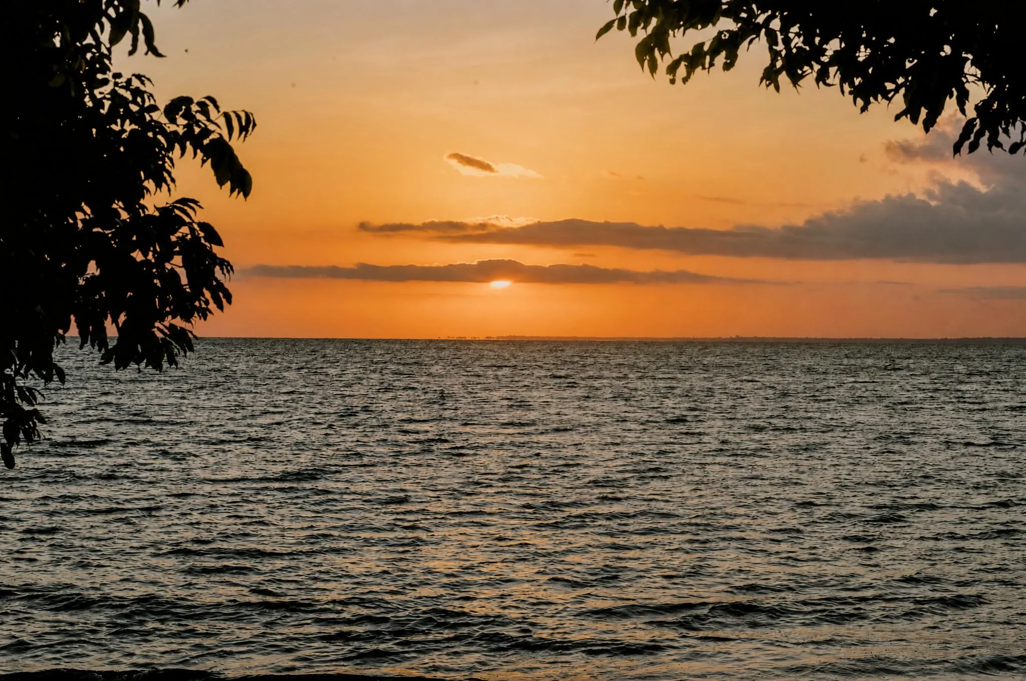 Sol se pondo atrás de nuvens baixas sobre a água do rio, emoldurado por galhos em silhueta