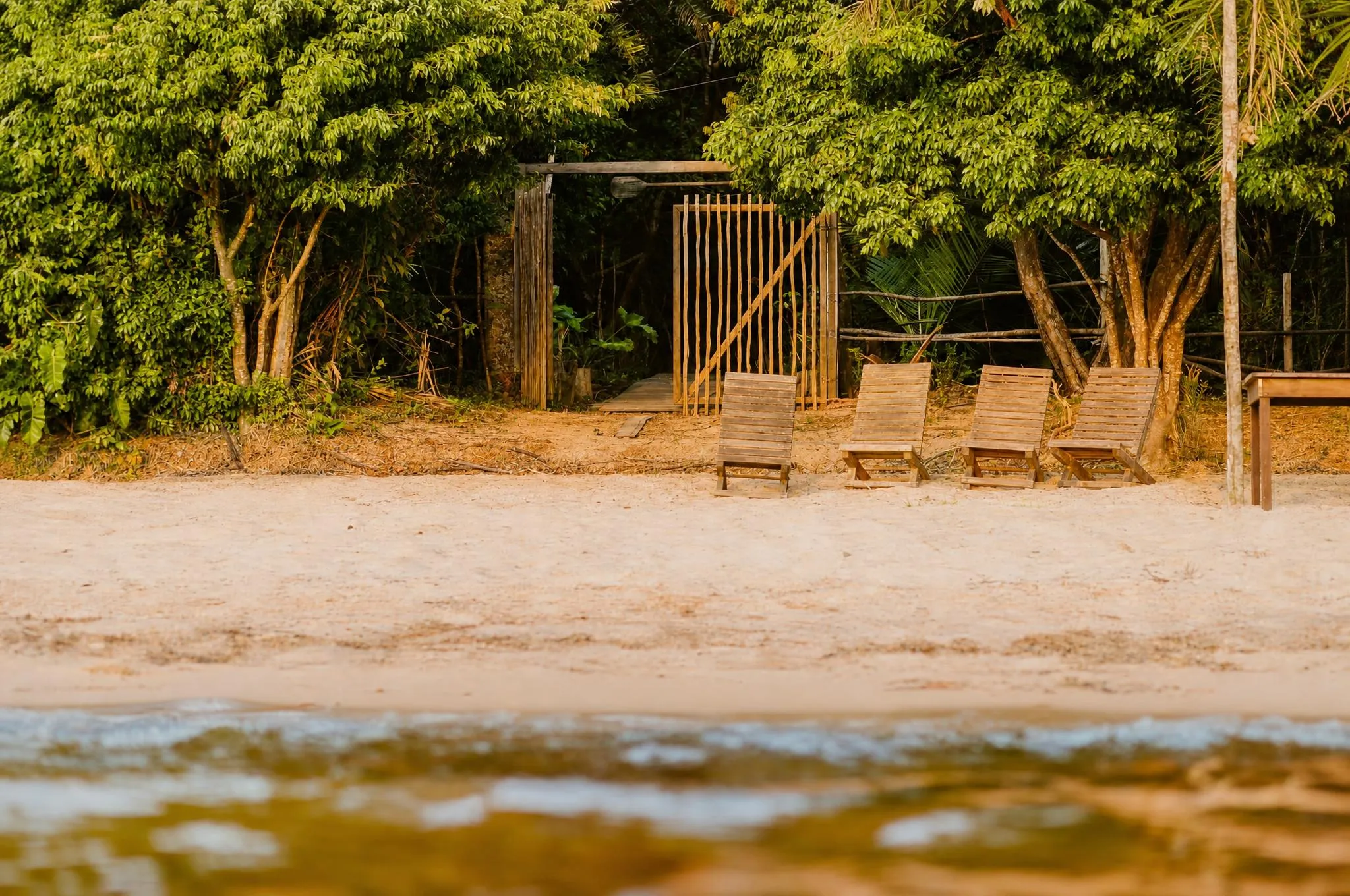 A strip of pale sand with wooden sun loungers lined up in the shade of the trees, in golden light