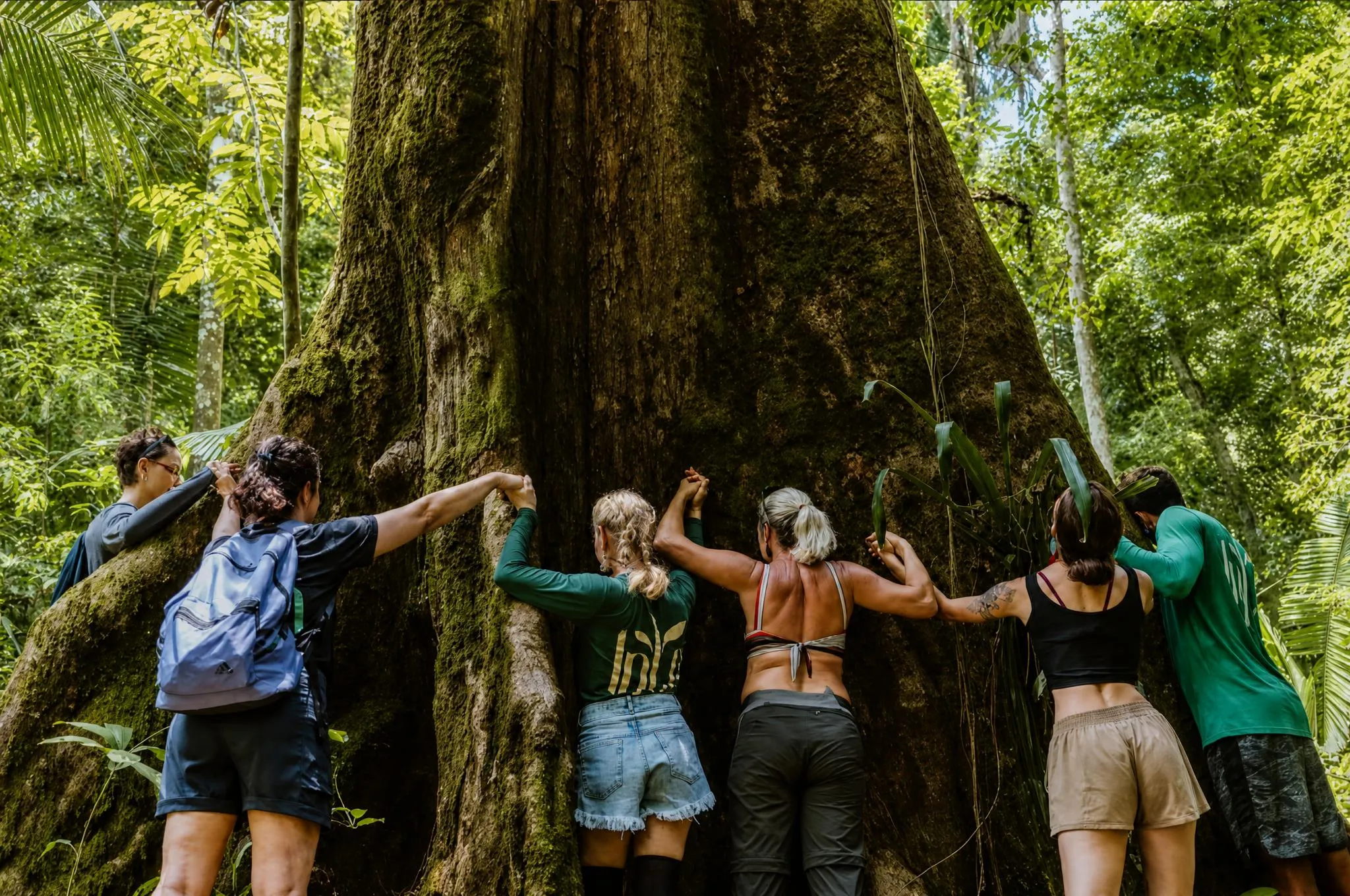 Grupo de pessoas de mãos dadas em volta do tronco enorme de uma samaúma, sem conseguir fechar o círculo